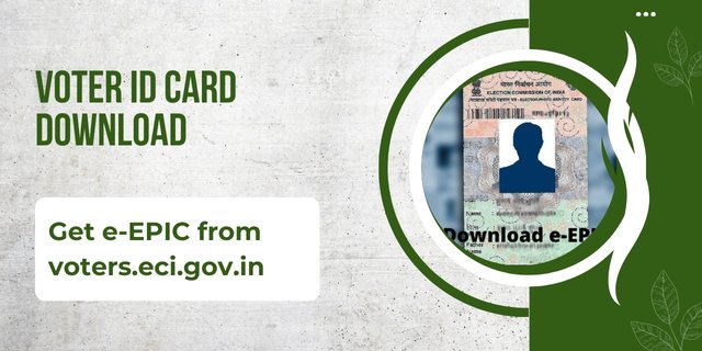 Voter ID Card Download